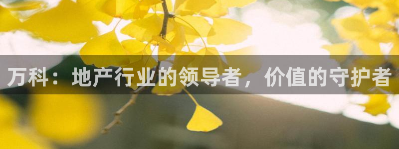 新宝5娱乐主管：万科：地产行业的领导者，价值的守护者