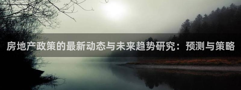 新宝5 888：房地产政策的最新动态与未来趋势研究：预测与策