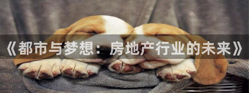 新宝5娱乐没：《都市与梦想：房地产行业的未来》