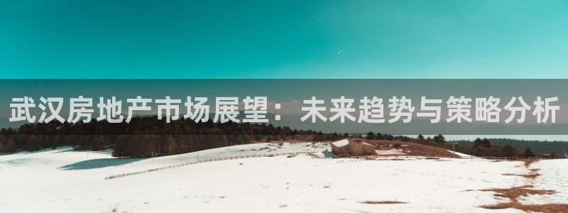 新宝5招商222111：武汉房地产市场展望：未来趋势与策略分