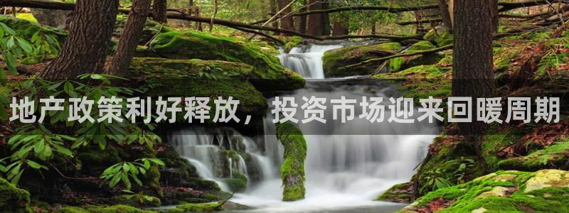 新宝5系列：地产政策利好释放，投资市场迎来回暖周期