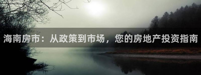 有人知道新宝5么：海南房市：从政策到市场，您的房地产投资指南