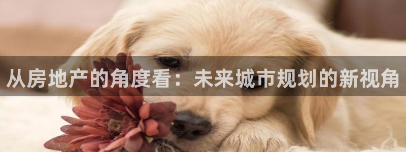 新宝5卫74OOO5：从房地产的角度看：未来城市规划的新视角