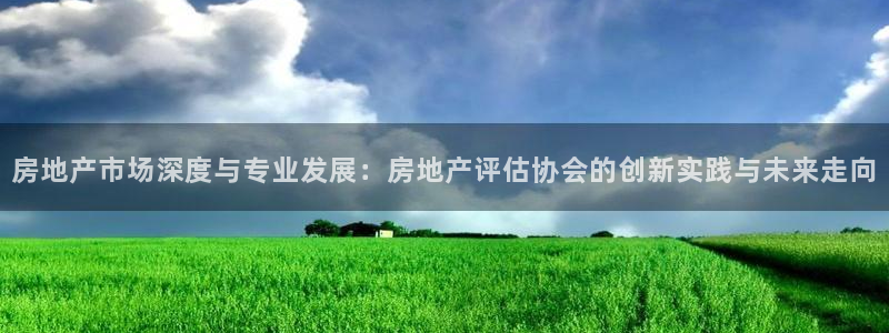 新宝5培训：房地产市场深度与专业发展：房地产评估协会的创新实