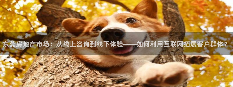 新宝5登陆：东莞房地产市场：从线上咨询到线下体验——如何利用