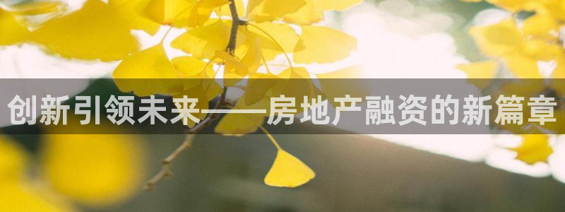 新宝5湫333 00：创新引领未来——房地产融资的新篇章