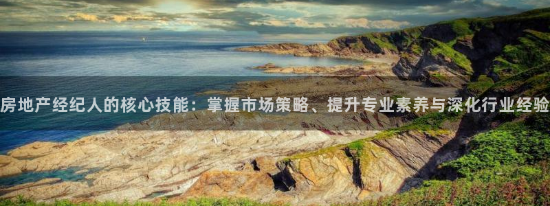 新宝5娱乐注：房地产经纪人的核心技能：掌握市场策略、提升专业