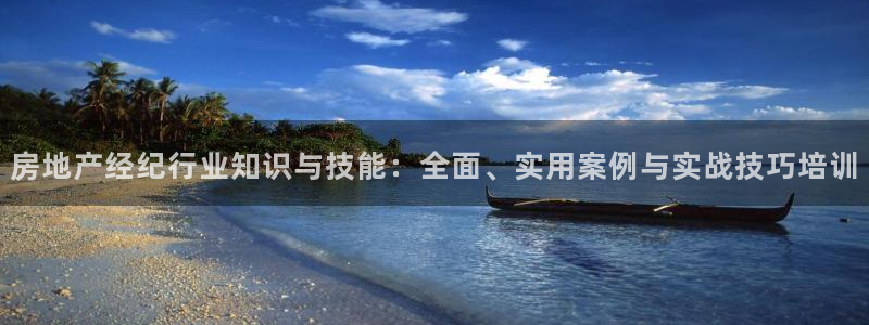 新宝5娱乐登录：房地产经纪行业知识与技能：全面、实用案例与实