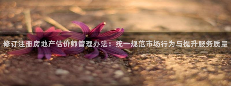 新宝5彩票平台登陆：修订注册房地产估价师管理办法：统一规范市