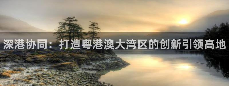 新宝5娱乐方：深港协同：打造粤港澳大湾区的创新引领高地