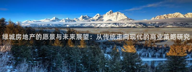5新宝：绿城房地产的愿景与未来展望：从传统走向现代的商业策略
