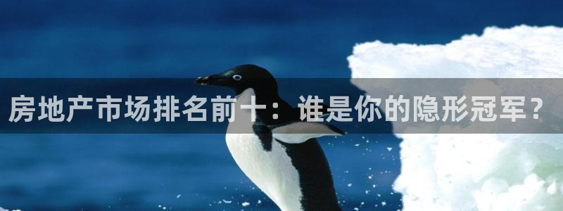 新宝5电脑登录网址：房地产市场排名前十：谁是你的隐形冠军？
