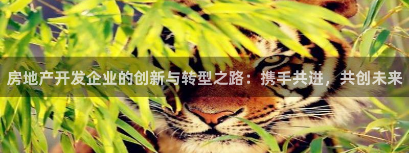 新宝5链接：房地产开发企业的创新与转型之路：携手共进，共创未