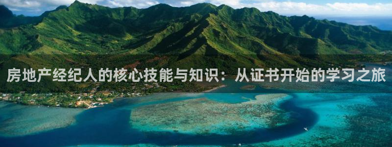 新宝5网址