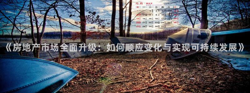 新宝5彩票平台登陆：《房地产市场全面升级：如何顺应变化与实现