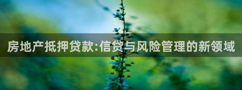 新宝5为啥开：房地产抵押贷款:信贷与风险管理的新领域
