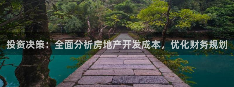 新宝5是谁的：投资决策：全面分析房地产开发成本，优化财务规划