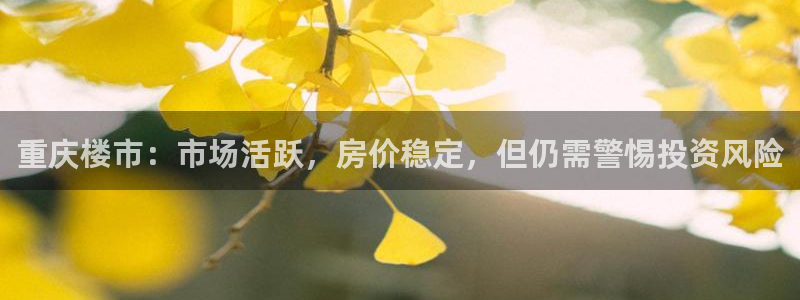 新宝5安卓版