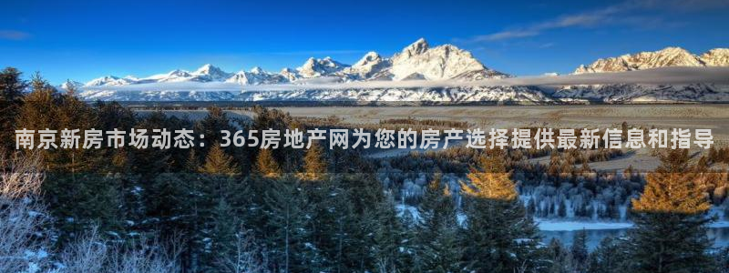 下载新宝5：南京新房市场动态：365房地产网为您的房产选择提