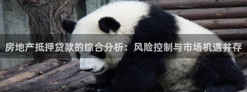 新宝5官网平台：房地产抵押贷款的综合分析：风险控制与市场机遇