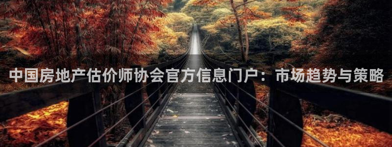 新宝5网址：中国房地产估价师协会官方信息门户：市场趋势与策略