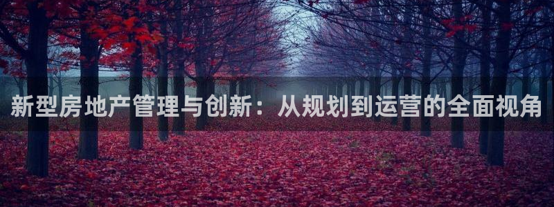 新宝5娱乐平台：新型房地产管理与创新：从规划到运营的全面视角