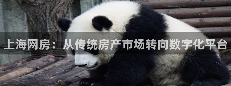 新宝5官网67五壹叁八：上海网房：从传统房产市场转向数字化平