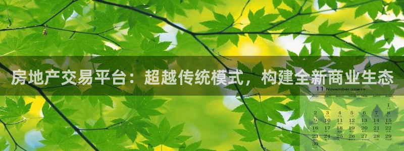 新宝骏rc5W：房地产交易平台：超越传统模式，构建全新商业生