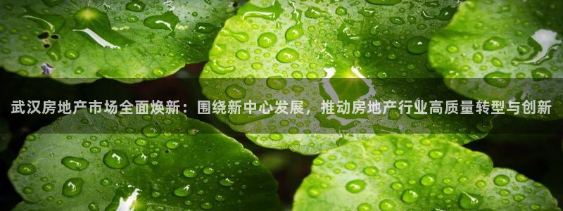 新宝5娱乐没：武汉房地产市场全面焕新：围绕新中心发展，推动房