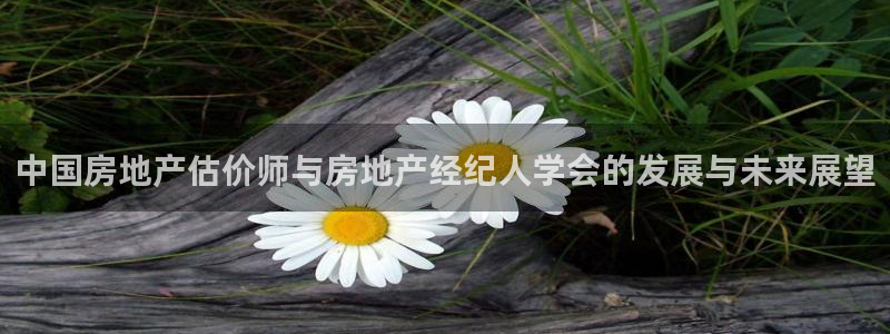 新宝5苹果手机下载：中国房地产估价师与房地产经纪人学会的发展