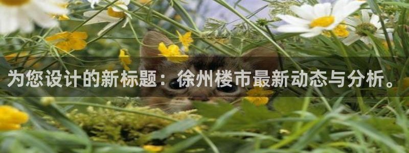 新宝5-：为您设计的新标题：徐州楼市最新动态与分析。
