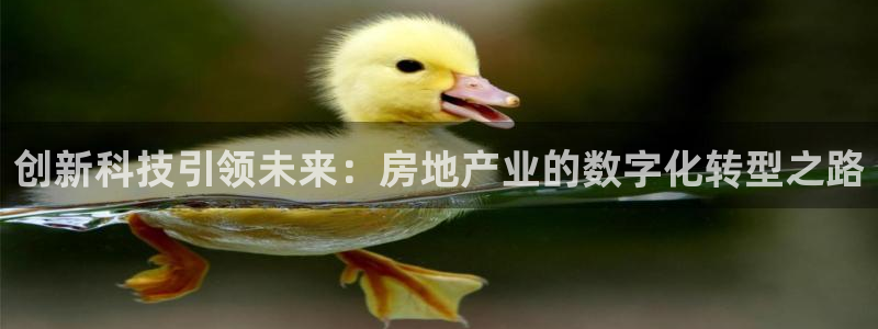 新宝5挂机软件：创新科技引领未来：房地产业的数字化转型之路