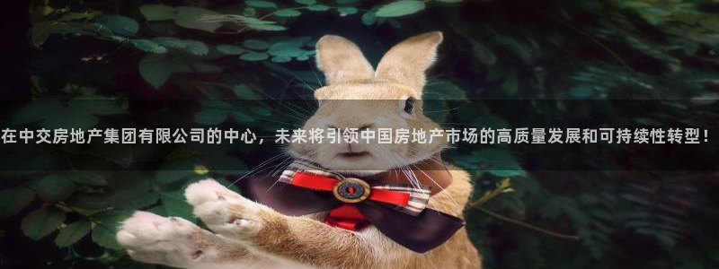 新宝5浗维33 300：在中交房地产集团有限公司的中心，未来