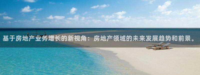 新宝5月：基于房地产业务增长的新视角：房地产领域的未来发展趋