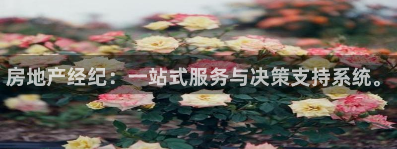 新宝5飞355051：房地产经纪：一站式服务与决策支持系统。
