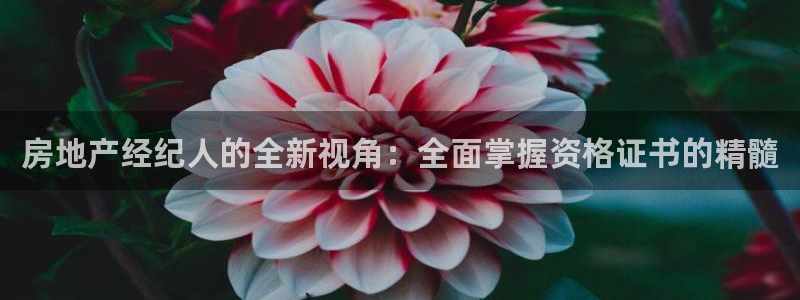 新宝5娱乐同：房地产经纪人的全新视角：全面掌握资格证书的精髓