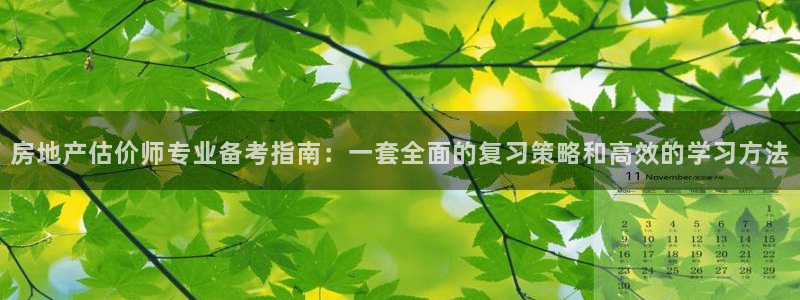 新宝5官方登录入口：房地产估价师专业备考指南：一套全面的复习