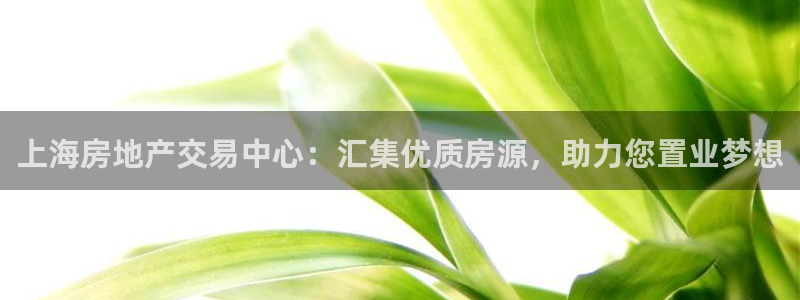 新宝5天：上海房地产交易中心：汇集优质房源，助力您置业梦想