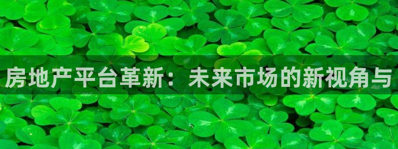 新宝5注册账号：房地产平台革新：未来市场的新视角与