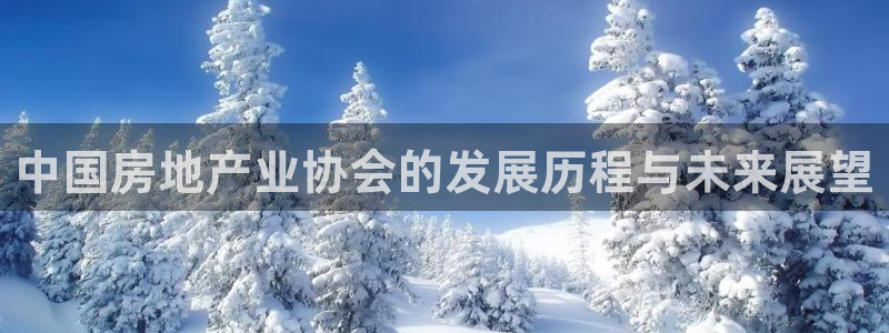新宝5骗术：中国房地产业协会的发展历程与未来展望
