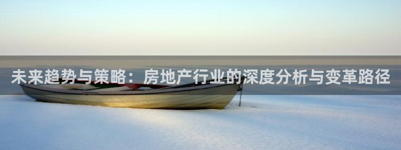 新宝5测试：未来趋势与策略：房地产行业的深度分析与变革路径