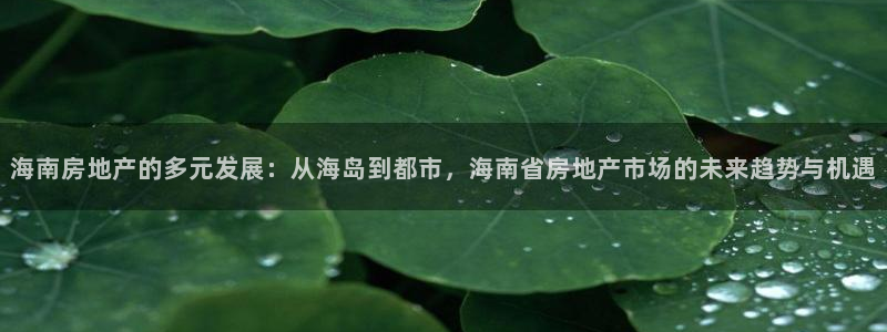 新宝5登录不了：海南房地产的多元发展：从海岛到都市，海南省房
