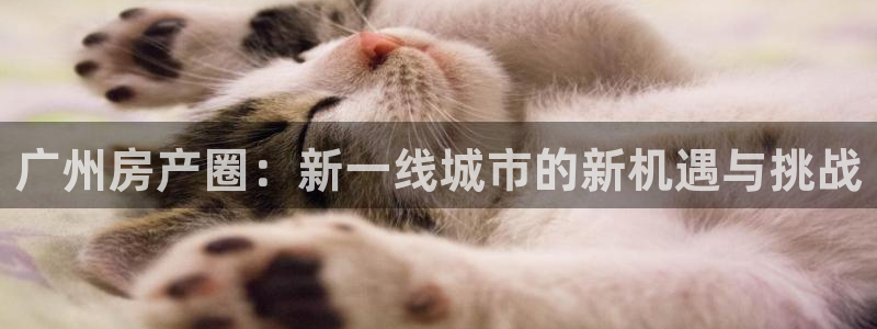 新宝5 唯一：广州房产圈：新一线城市的新机遇与挑战