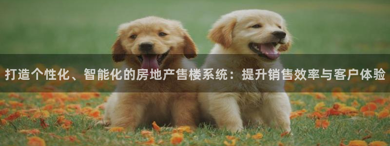 新宝5娱乐代理：打造个性化、智能化的房地产售楼系统：提升销售