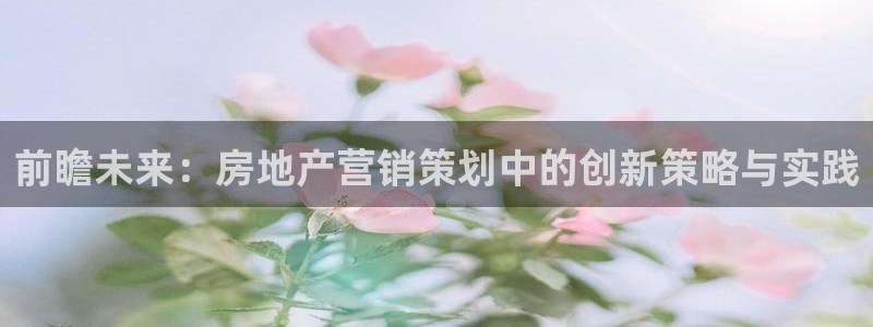 新宝5娱乐同：前瞻未来：房地产营销策划中的创新策略与实践