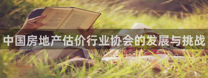 新宝5平台注册公司：中国房地产估价行业协会的发展与挑战