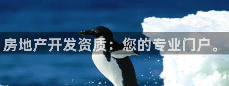 新宝 5测速：房地产开发资质：您的专业门户。