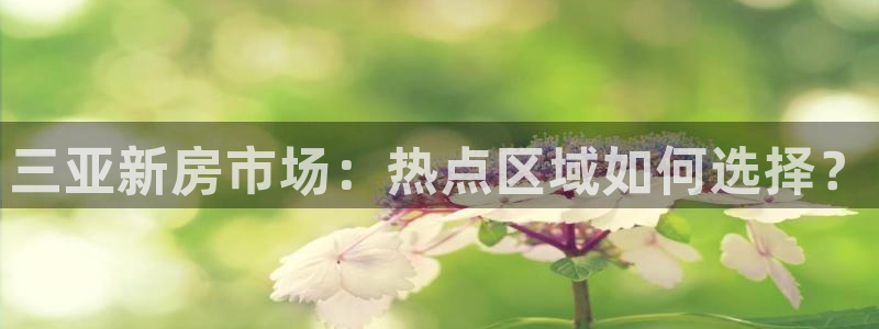 新宝3得74OO5：三亚新房市场：热点区域如何选择？