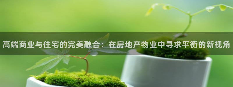 新宝5娱乐然：高端商业与住宅的完美融合：在房地产物业中寻求平