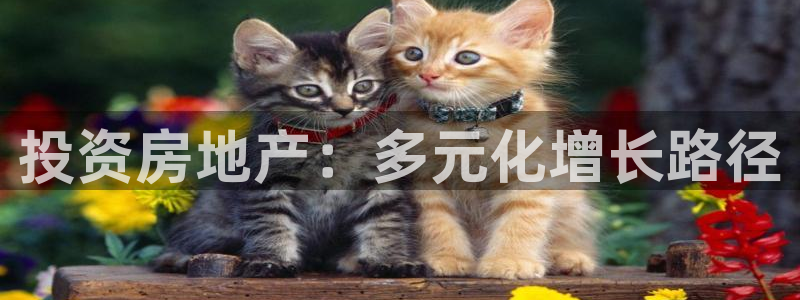 新宝5浗维33 300：投资房地产：多元化增长路径